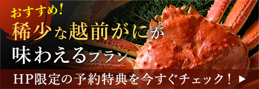 希少な越前がにが味わえるプラン